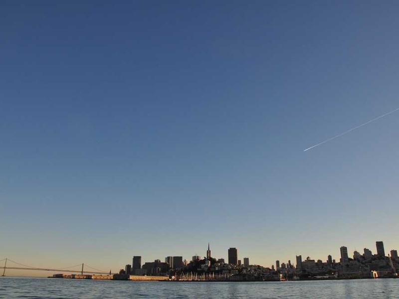 日本東京櫻花季